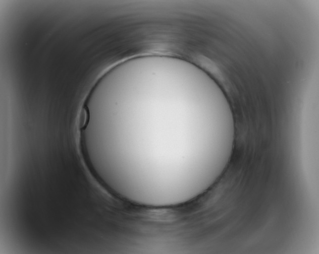 X0000089851479200707121708