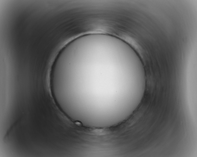 X0000089851480200707121708