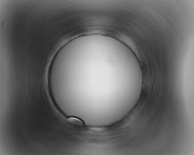 X0000089851483200707121708