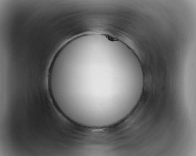 X0000089851484200707121708