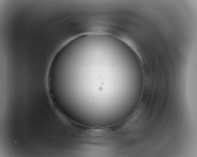 X0000089851485200707121708