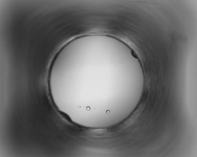 X0000089851486200707121708
