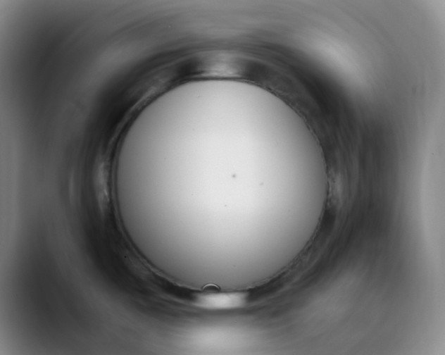 X0000089851487200707121708