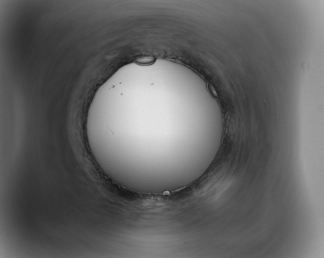 X0000089851489200707121708