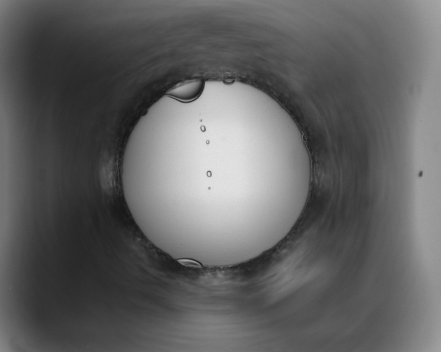 X0000089851490200707121708