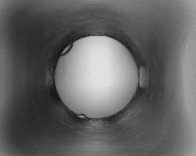 X0000089851491200707121708