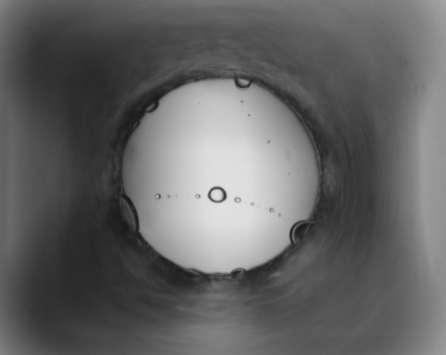 X0000089851494200707121708
