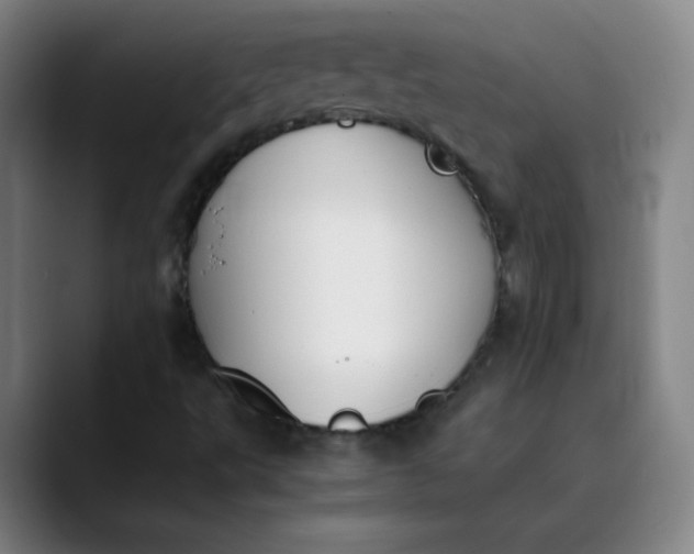 X0000089851495200707121708