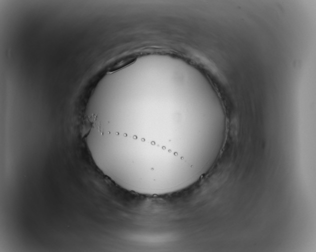 X0000089851496200707121708