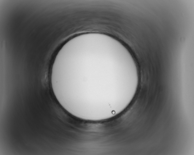 X0000089851498200707121708