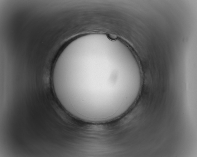 X0000089851499200707121708
