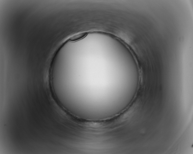 X0000089851500200707121708