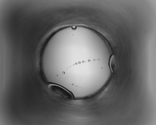 X0000089851502200707121708
