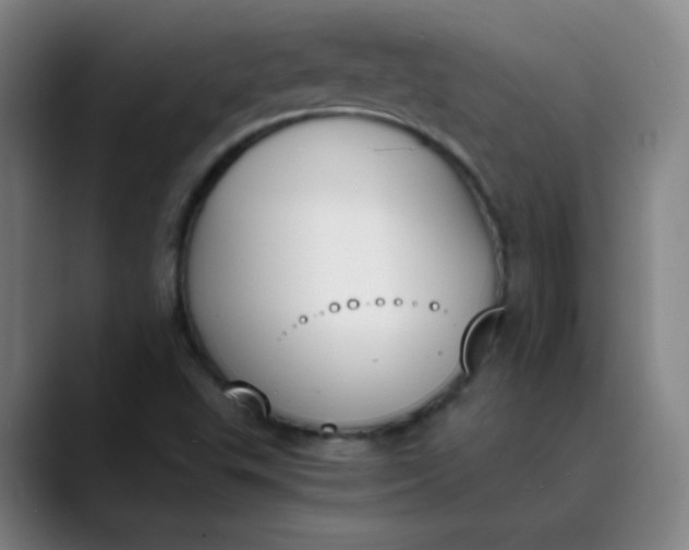 X0000089851503200707121708