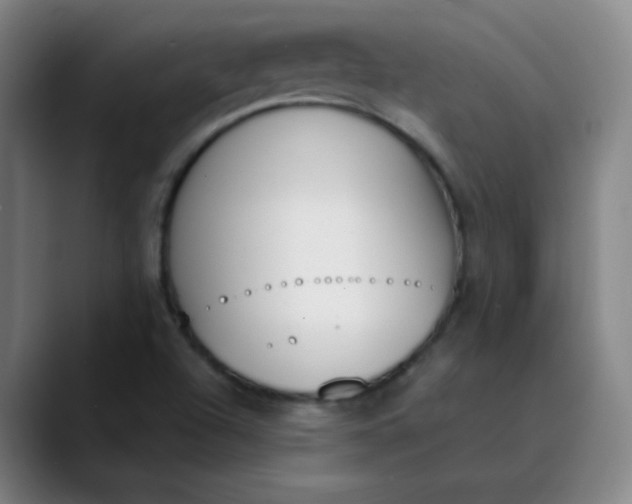 X0000089851504200707121708
