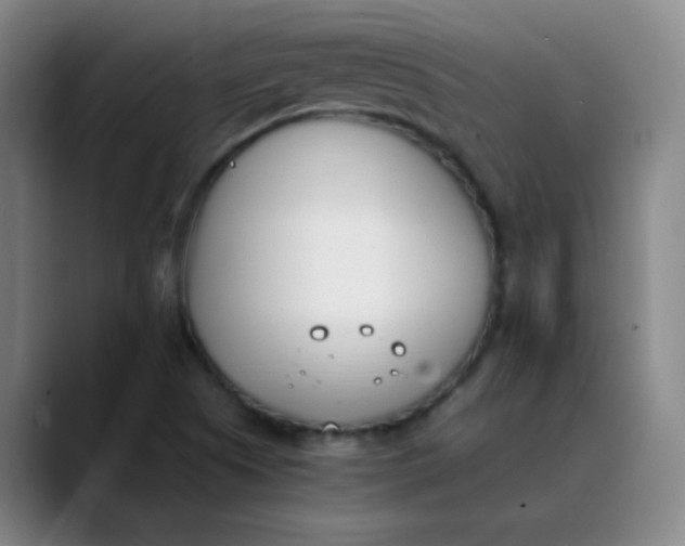 X0000089851505200707121708