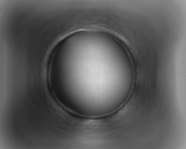 X0000089851506200707121708