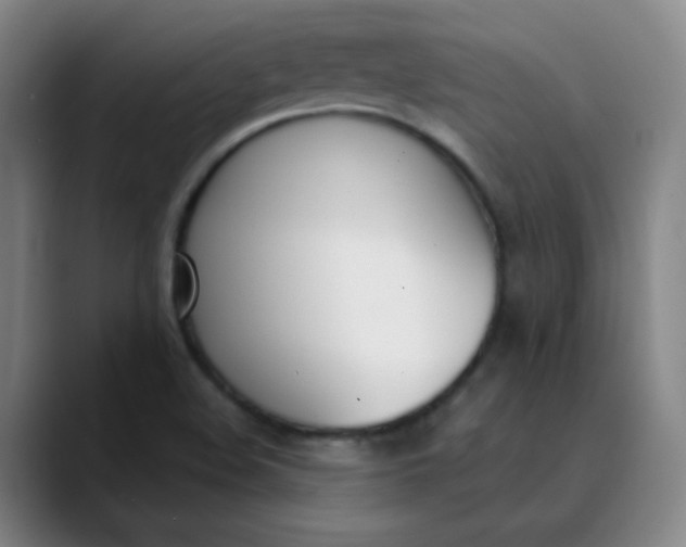 X0000089851508200707121708
