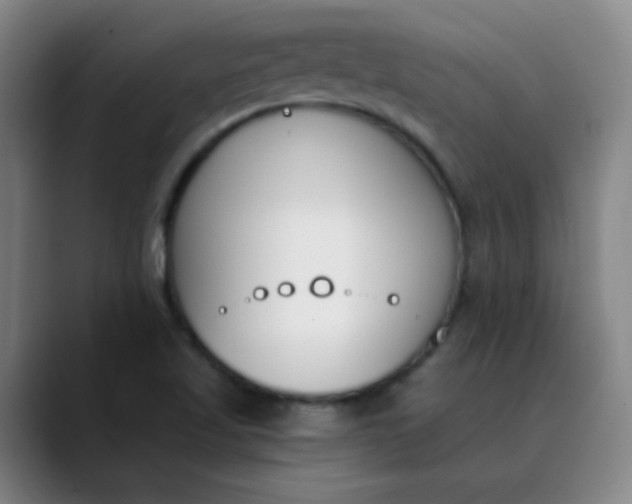 X0000089851509200707121708