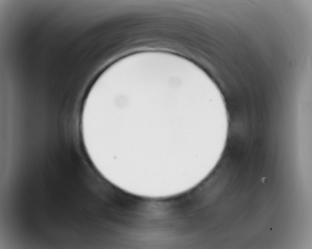X0000089851514200707121708