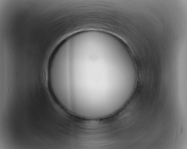 X0000089851515200707121708