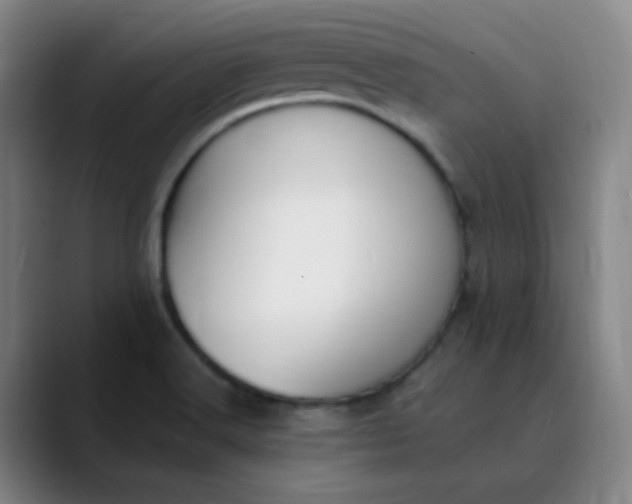 X0000089851516200707121708