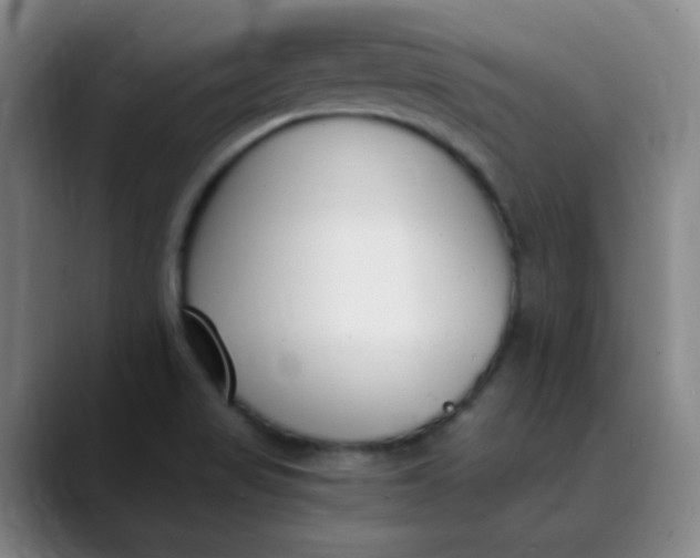 X0000089851517200707121708