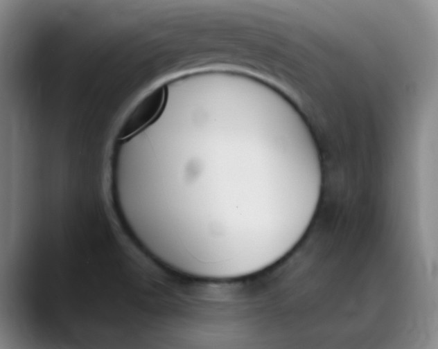 X0000089851518200707121708
