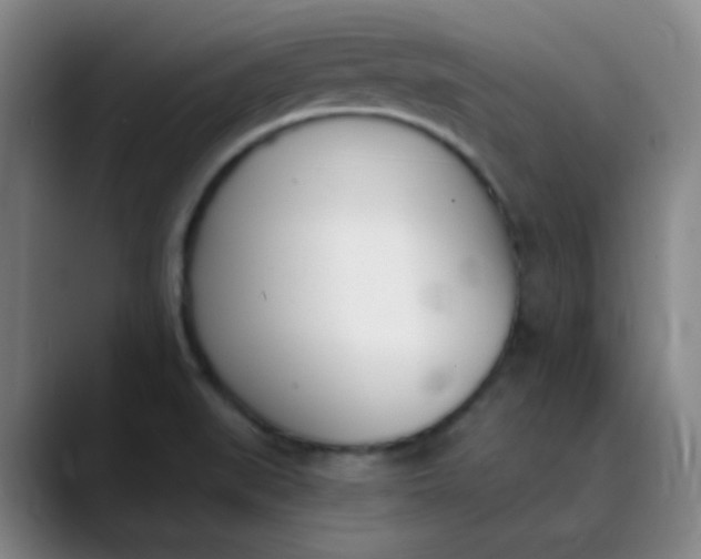 X0000089851519200707121708