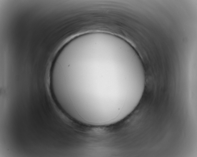 X0000089851523200707121708