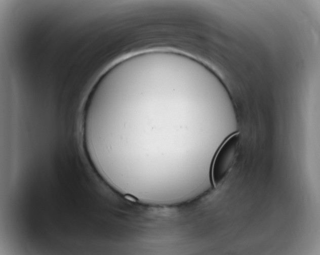 X0000089851526200707121708