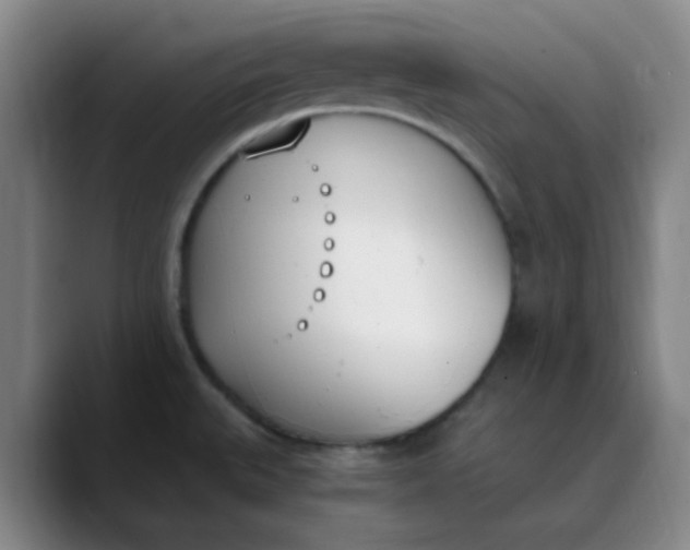 X0000089851527200707121708