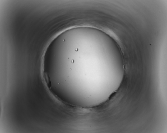 X0000089851528200707121708
