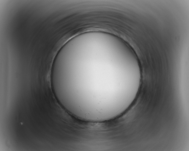 X0000089851529200707121708
