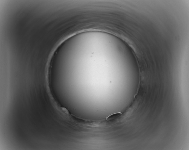 X0000089851530200707121708
