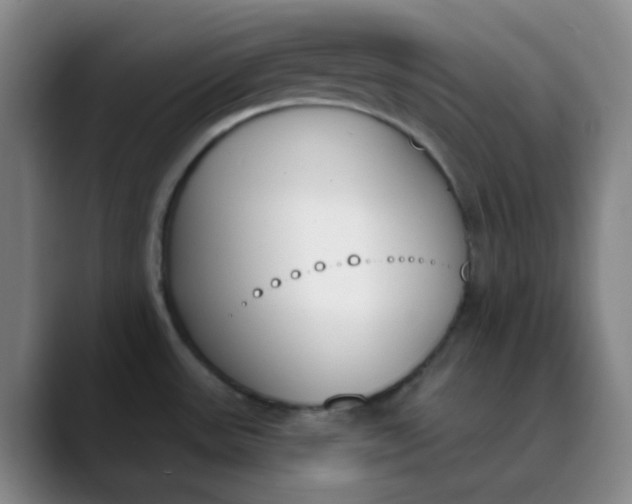 X0000089851531200707121708