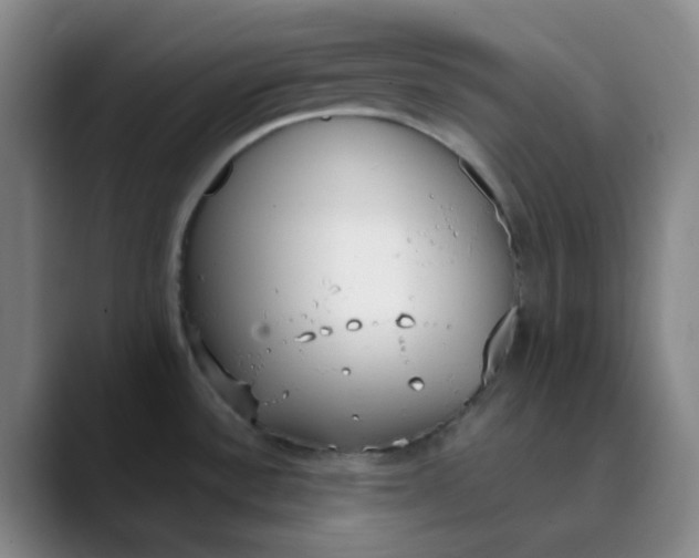 X0000089851532200707121708