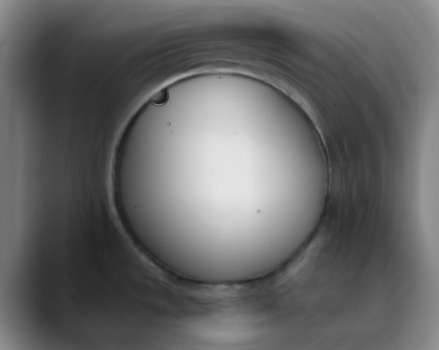 X0000089851533200707121708