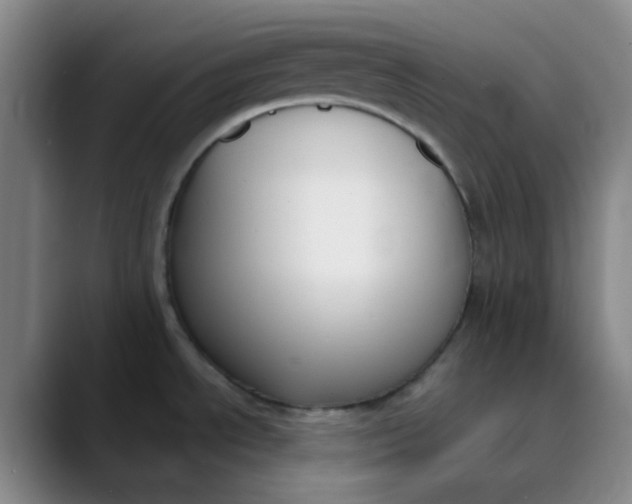 X0000089851534200707121708