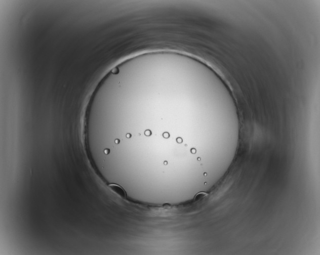 X0000089851535200707121708