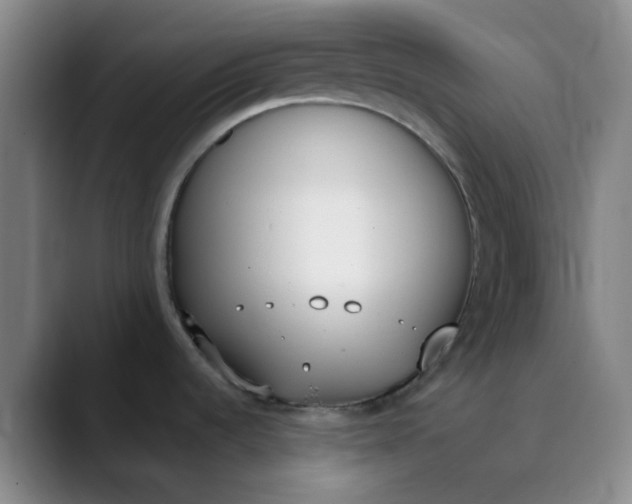 X0000089851536200707121708