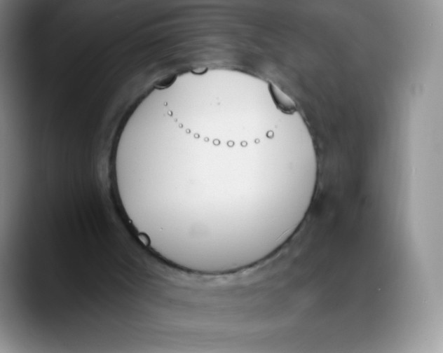 X0000089850002200707191911