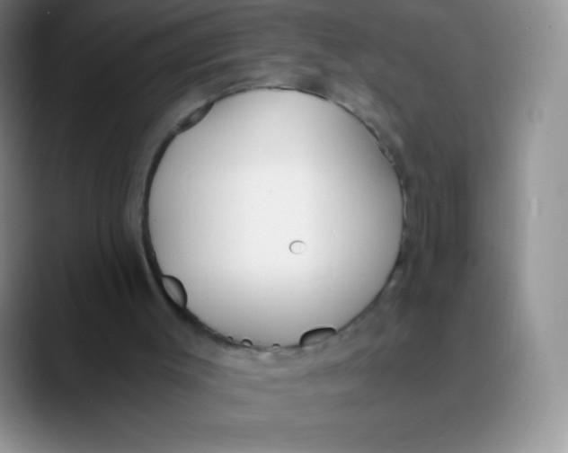 X0000089850003200707191911