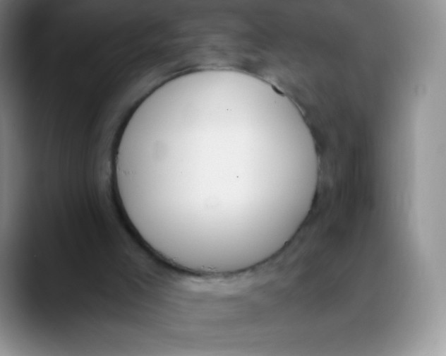 X0000089850005200707191911