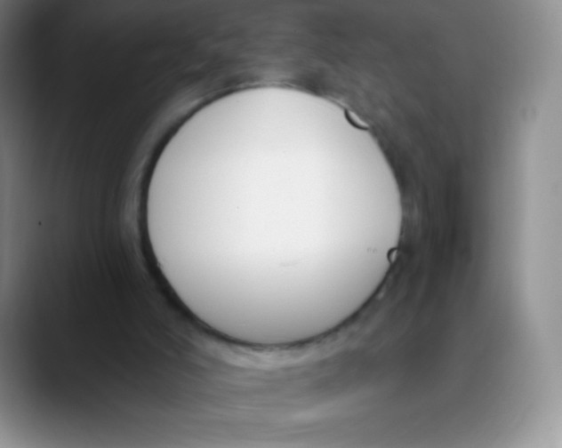 X0000089850006200707191911