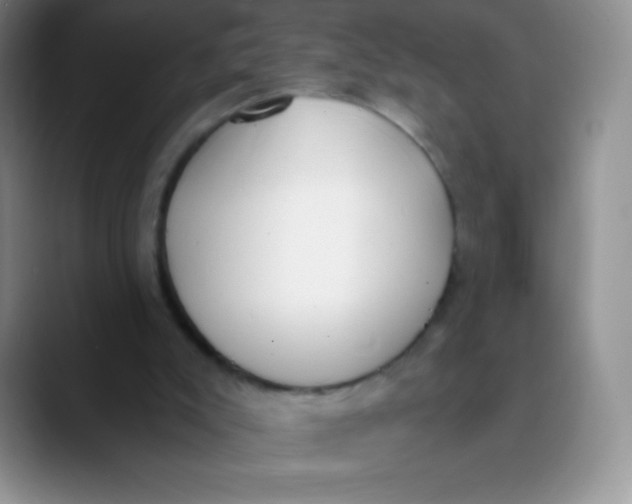 X0000089850007200707191911