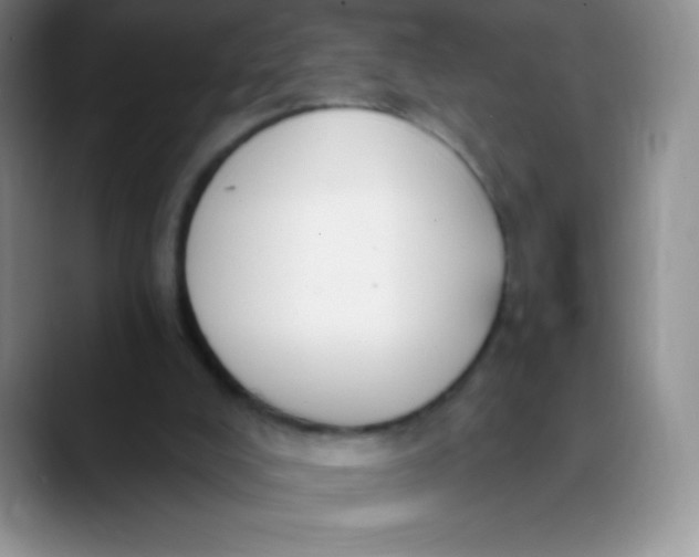 X0000089850008200707191911