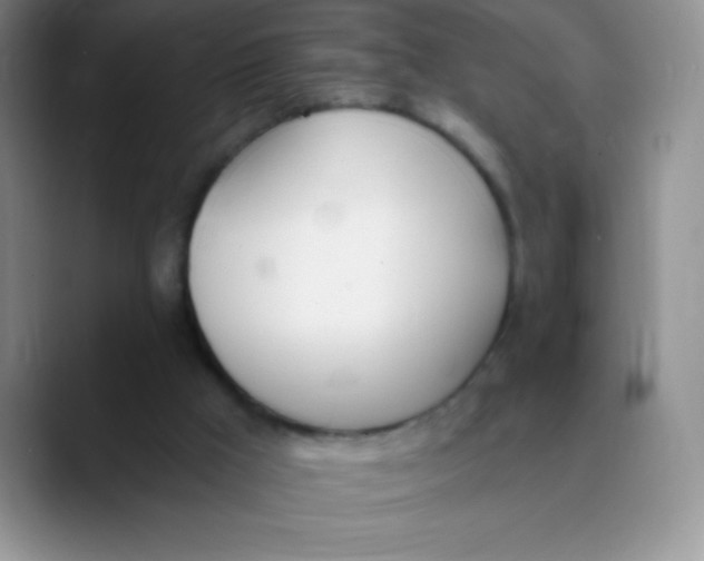 X0000089850009200707191911