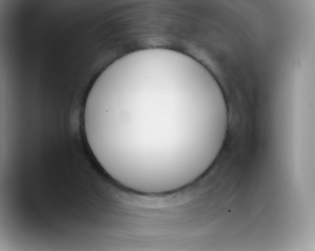 X0000089850010200707191911