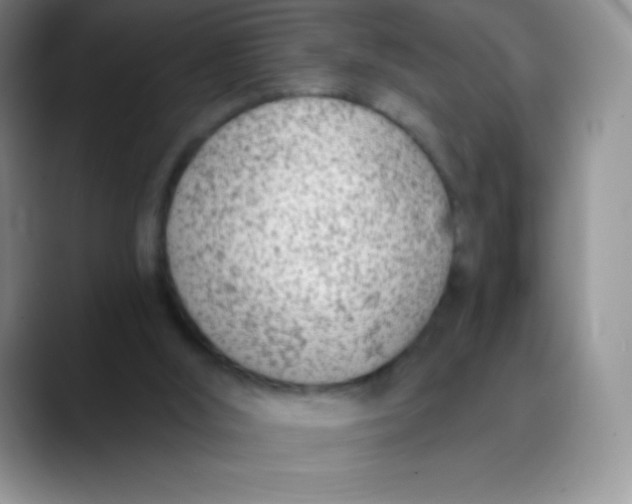 X0000089850012200707191910